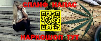 дмт Сланцы