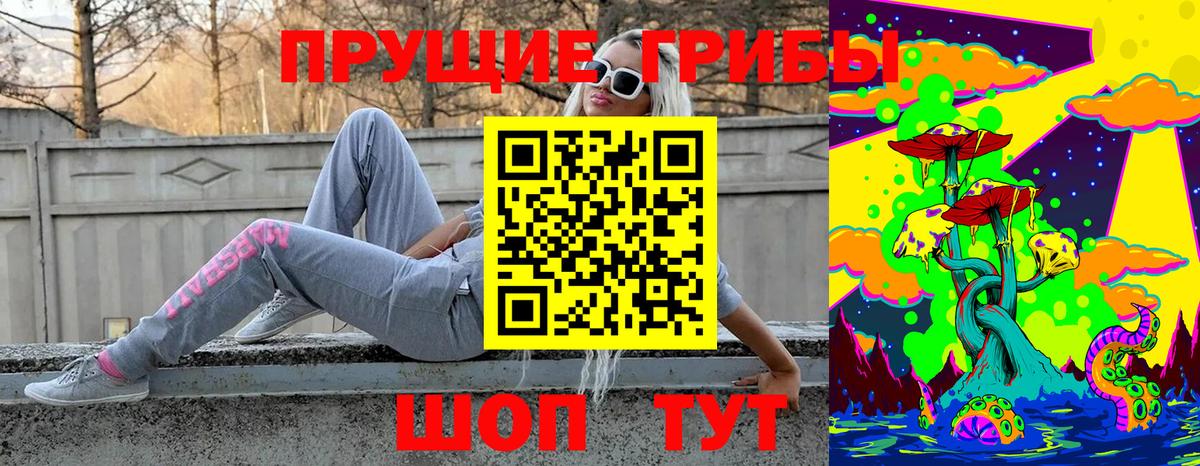 Орёл  Псилоцибиновые грибы GOLDEN TEACHER  Вход с VPN  Галлюциногенные грибы Magic Shrooms 